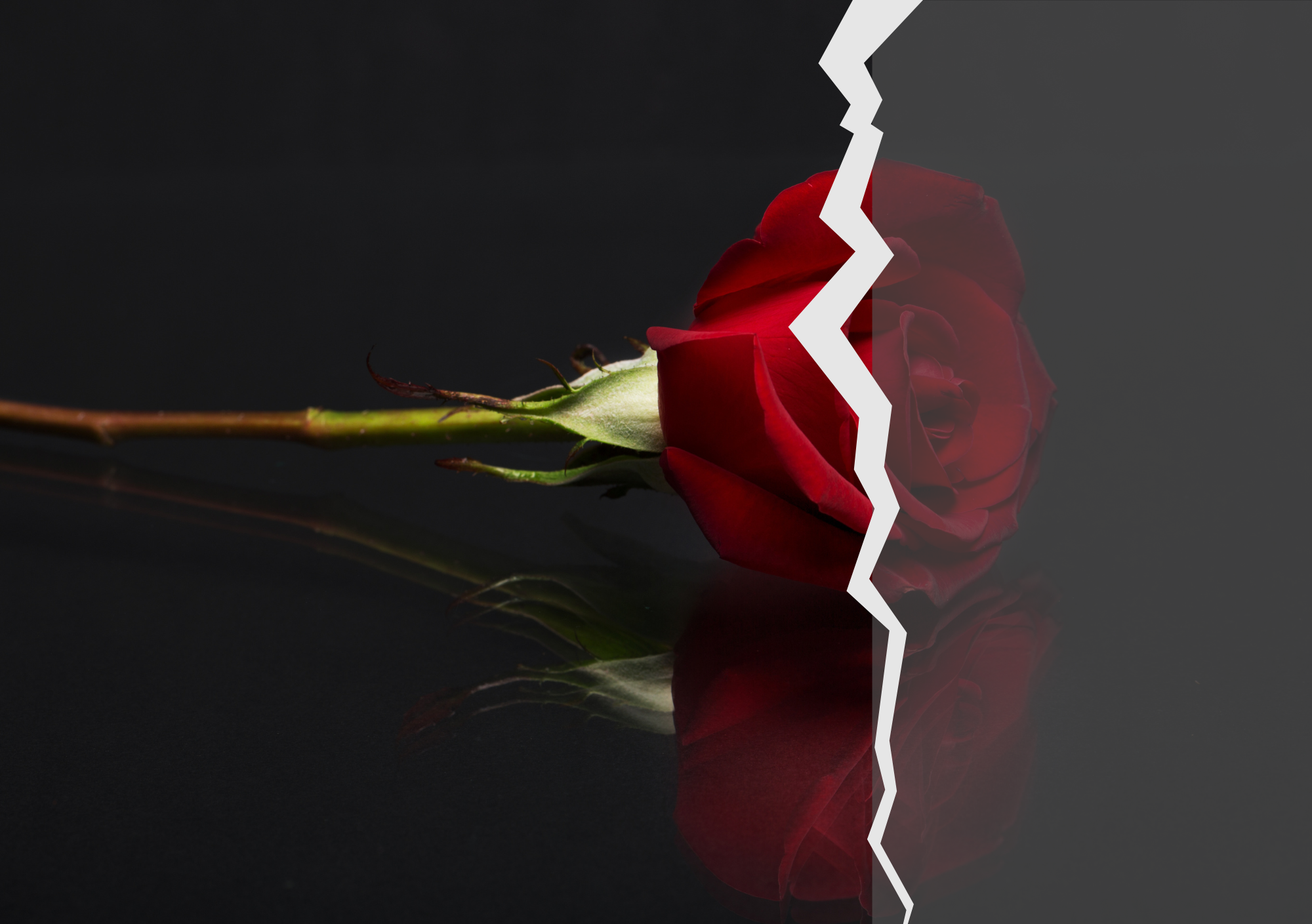 Zerbrochene rote Rose auf dunklem Hintergrund – Symbol für verletzte Liebe und Strategien von Narzissten.